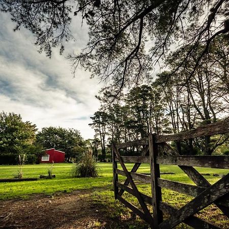 Apartmán Nomeolvidesmas Tandil Exteriér fotografie