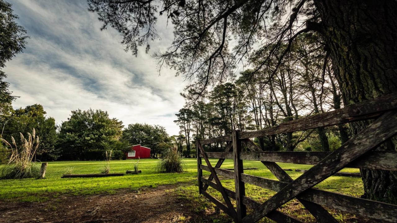 Apartmán Nomeolvidesmas Tandil Exteriér fotografie