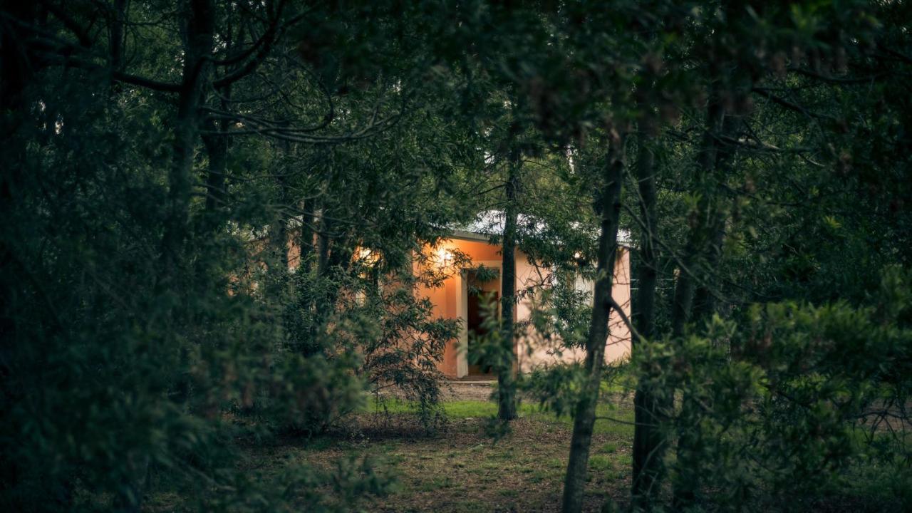 Apartmán Nomeolvidesmas Tandil Exteriér fotografie